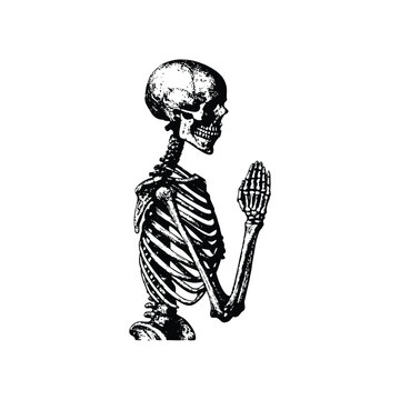 Black and white hand drawn skeleton illustration praying vintage style vector art