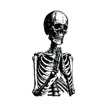 Black and white hand drawn skeleton illustration praying vintage style vector art