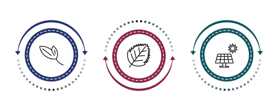outline nature icons set - lanceolate, birch leaf, solar. editable vector for web and mobile ui