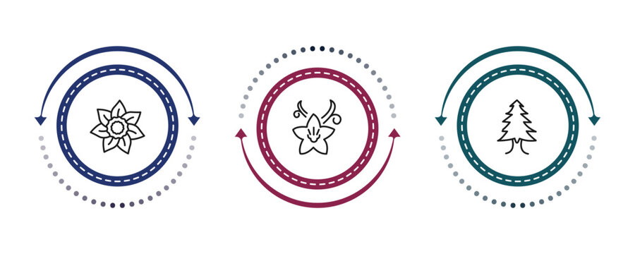 outline nature icons set - gardenia, vanilla, arborvitae tree. editable vector for web and mobile ui