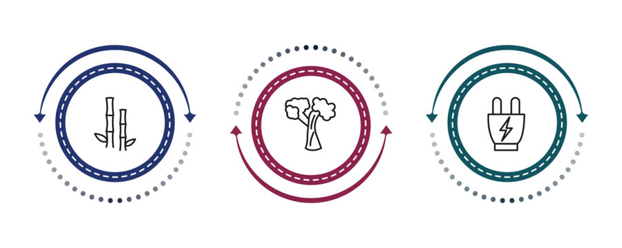 outline nature icons set - bamboo plant from japan, silver maple tree, eco socket. editable vector for web and mobile ui