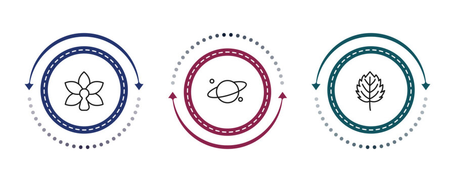 outline nature icons set - orchid, planet with satellite, bigtooth aspen tree. editable vector for web and mobile ui