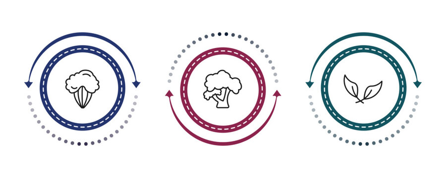 outline nature icons set - shadbush tree, honey-locust tree, falcate. editable vector for web and mobile ui