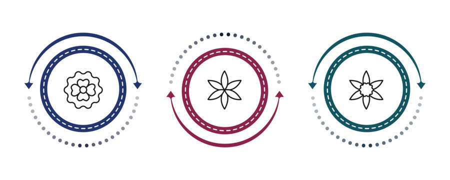 outline nature icons set - dianthus, aster, jonquil. editable vector for web and mobile ui