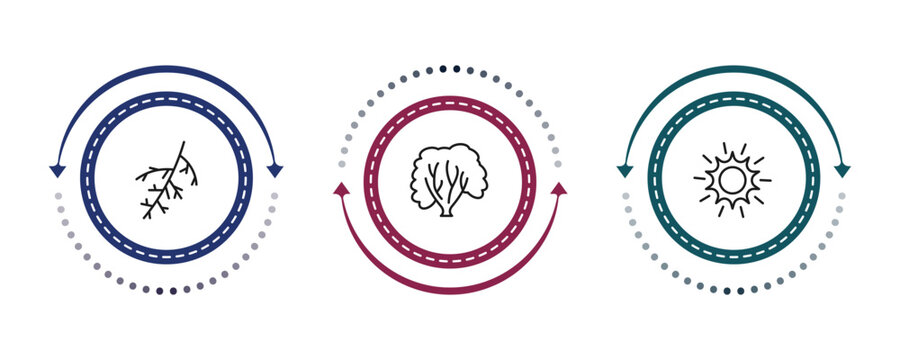 outline nature icons set - larch leaf, american hornbeam tree, shining sun with rays. editable vector for web and mobile ui