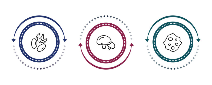 outline nature icons set - pecan leaf, mushroom with spots, orbicular. editable vector for web and mobile ui