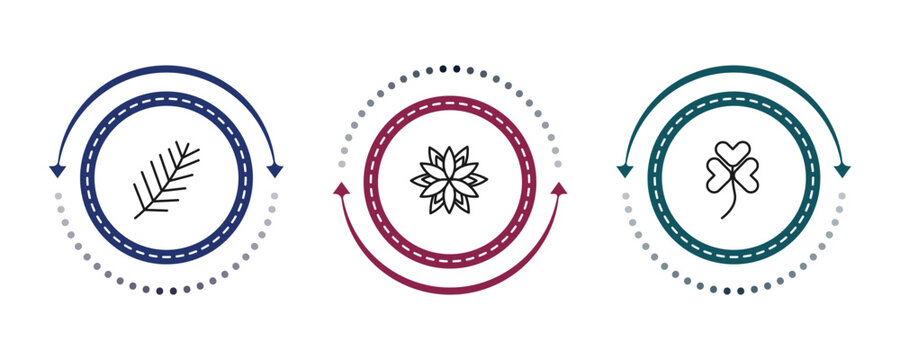 outline nature icons set - pine needle, dahlia, trifoliate ternate. editable vector for web and mobile ui