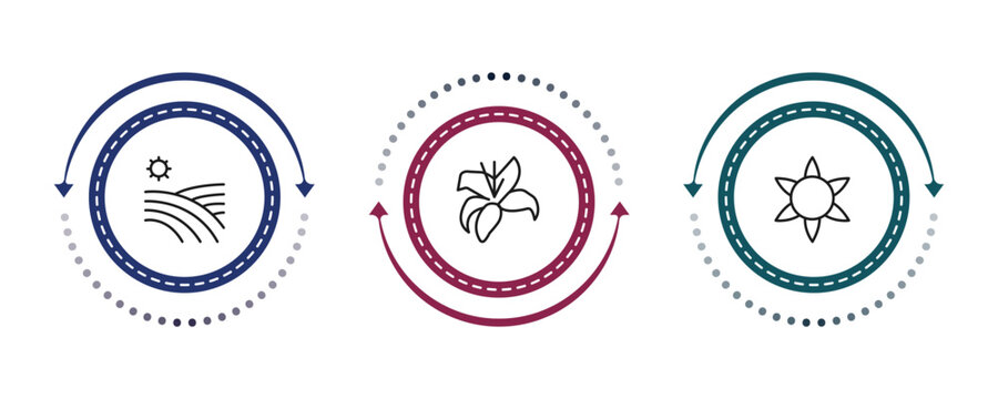 outline nature icons set - vineyard, lily, gerbera. editable vector for web and mobile ui