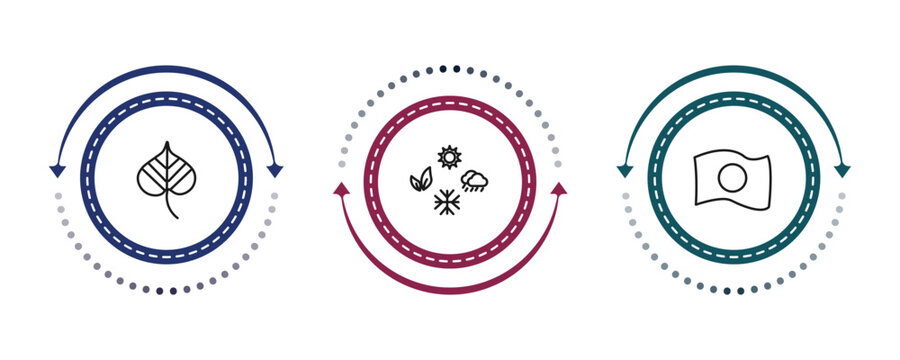 outline nature icons set - linden leaf, season, japanese. editable vector for web and mobile ui