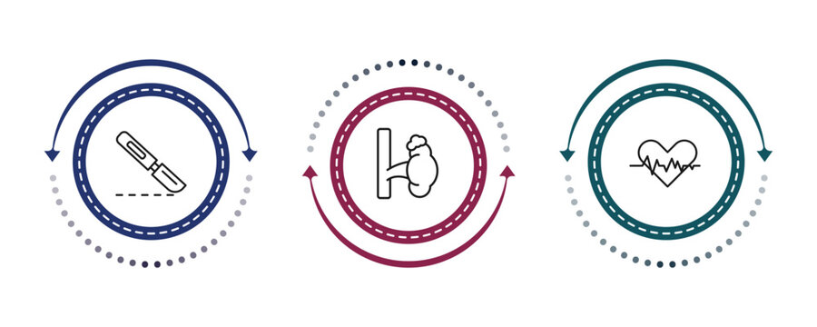 outline medical icons set - scalpel, adrenal gland, cardiogram. editable vector for web and mobile ui