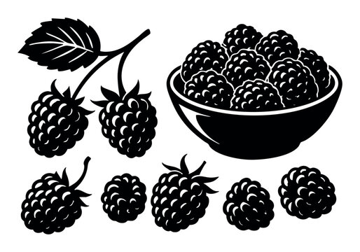 Various blackberries and raspberries in contrasting black and white, featuring individual fruits, a branch with leaves, and a full bowl