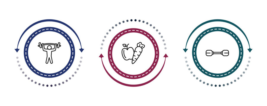 outline gym and fitness icons set - barbell weightlifting, carrot and, little dumbbell. editable vector for web and mobile ui