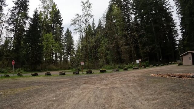 4K b roll car driving footage captured with an action camera along a highway 503 Lewis River road in Washington, USA. Scenic Pacific Northwest wilderness and evergreen woodland landscape