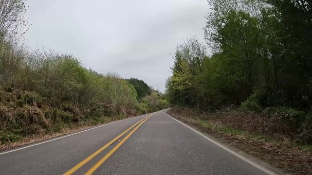 4K b roll car driving footage captured with an action camera along a highway 503 Lewis River road in Washington, USA. Scenic Pacific Northwest wilderness and evergreen woodland landscape
