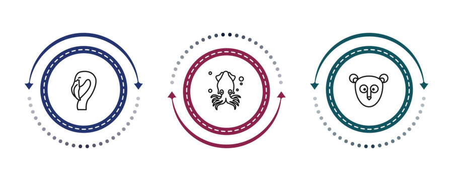 outline animals icons set - flamingo, squid, philippine tarsier. editable vector for web and mobile ui