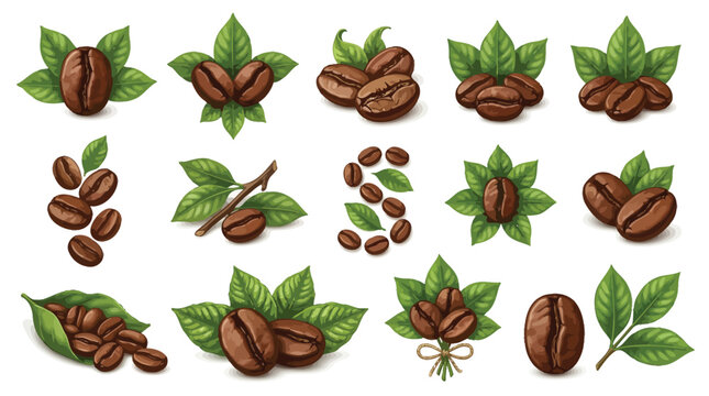 Roasted coffee beans with green leaves vector set, organic coffee plant illustrations, brown roasted seeds for cafe branding and packaging design