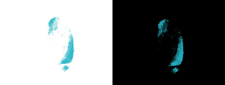 Teal Human Figure Silhouette Isolated on White and Black Background

