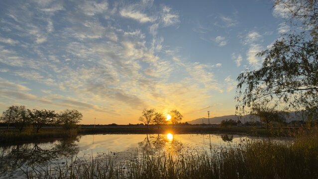 富山の田んぼに映り込む朝日