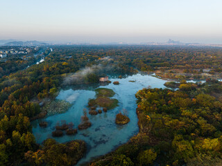 Obraz premium Misty Autumn Wetland Landscape in Xixi National Wetland Park, Hangzhou