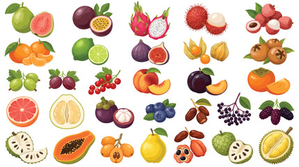 Obraz premium Tropical exotic fruit collection, 30 vector fruit icons set with dragon fruit and papaya,