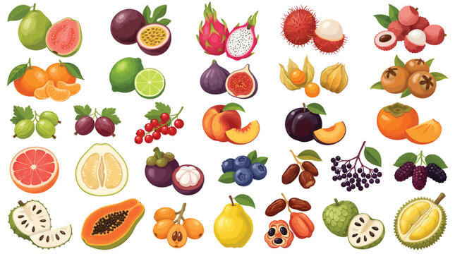 Tropical exotic fruit collection, 30 vector fruit icons set with dragon fruit and papaya,