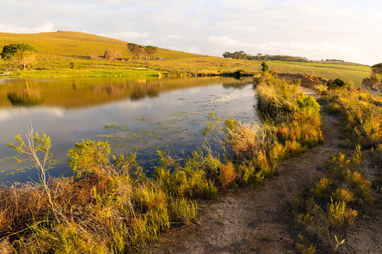 placid pond at sunset, overlooking Klein Mountains, Stanford, South Africa