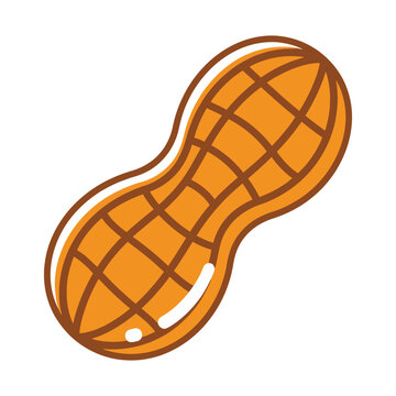 Peanut vector illustration, whole brown groundnut shell icon, organic legume snack graphic on white background