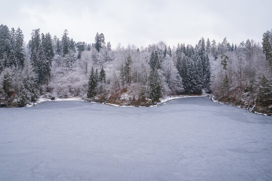 Frozen Alpine Lake Surrounded by Snowy Pine Forest in Winter
