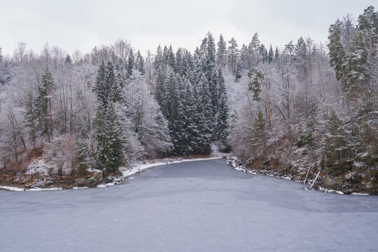 Frozen Alpine Lake Surrounded by Snowy Pine Forest in Winter