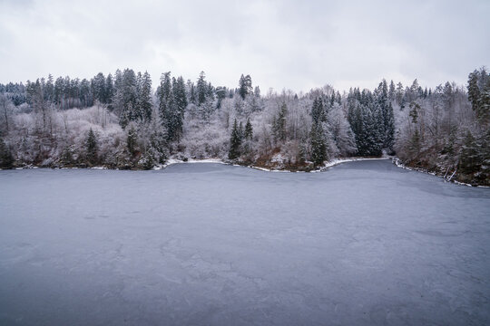 Frozen Alpine Lake Surrounded by Snowy Pine Forest in Winter