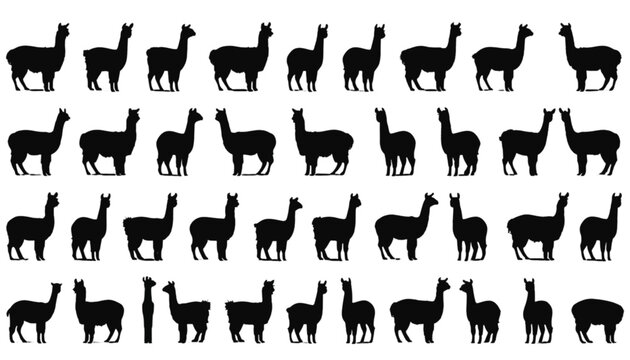 Llama silhouettes are arranged in a dense grid pattern on a clean white background to showcase various postures and physical profiles for design applications requiring diverse animal vector assets.