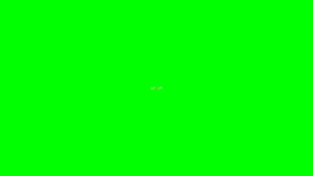 Golden Nexus Typography on Chroma Key Green Background