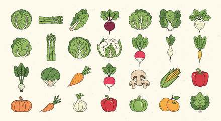 Fototapeta premium Comprehensive collection of various colored vegetable icons including cabbage, carrot, pepper, broccoli, and more.