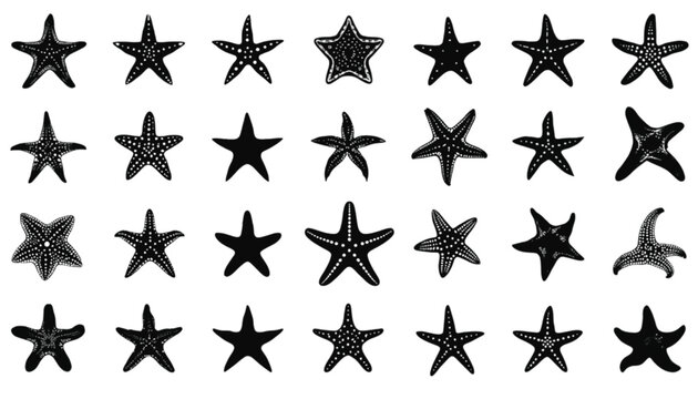 Starfish silhouettes showcase a multitude of echinoderms in different shapes and arm configurations aligned in a structured grid layout on a clear white background for marine biological research.