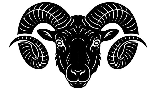 Powerful ram head black silhouette, male sheep with big curved horns vector logo.