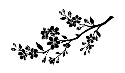 Blooming cherry blossom branch silhouette, elegant floral sakura twig vector design. © MstNadiya