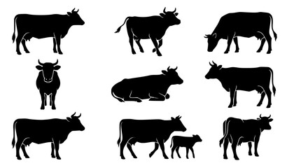 Domestic dairy cows black silhouette set, various poses of cows and calves on farm. © MstNadiya
