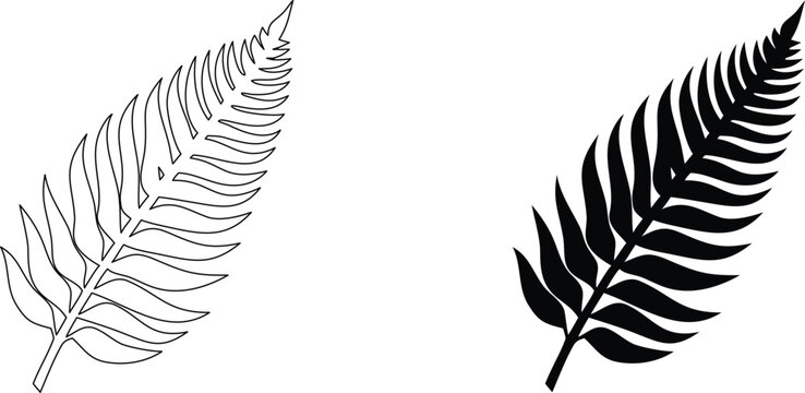 Silver fern botanical leaf foliage illustration set as clean line art and solid black icon.