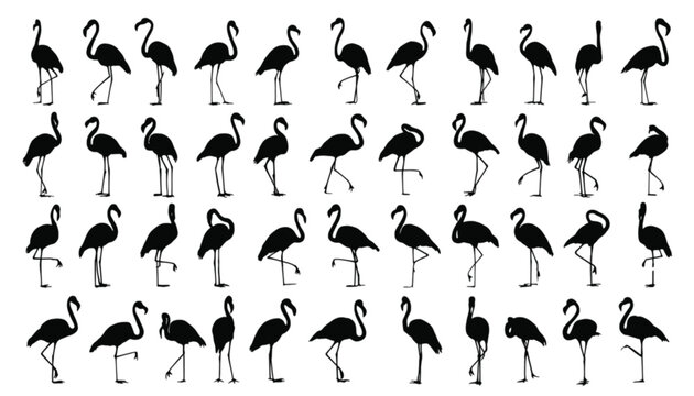 Flamingo silhouettes arranged in a comprehensive grid display various standing and walking postures to provide a detailed visual reference for designers seeking stylized avian graphic elements.
