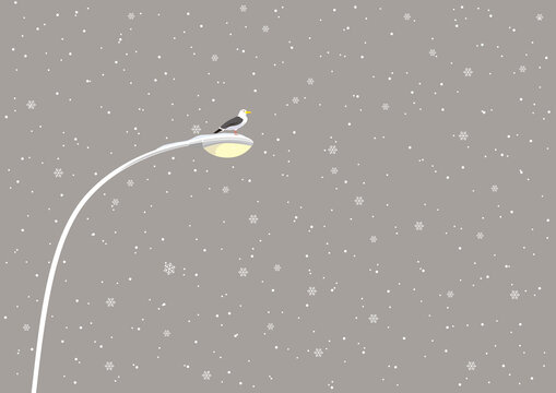 カモメと電灯と雪の結晶のイラスト