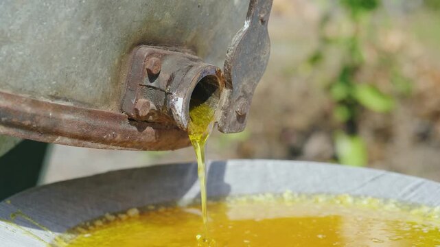 Raw organic honey flowing from extractor machine into sieve during harvesting process in sunny apiary garden.