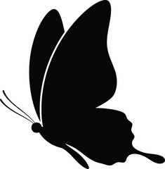 Black silhouette of a butterfly with delicate antennae, viewed from the side, on a white background insect © My design
