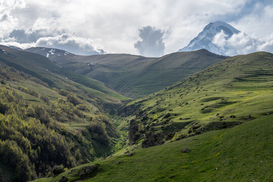 The alpine grassland scenery of the Caucasus Mountains in Georgia
