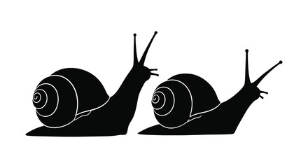 Two snails crawling black and white silhouette © design creation