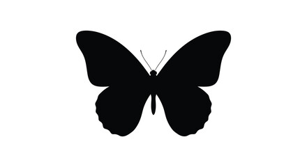 Black butterfly silhouette on white background high quality © design creation