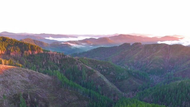 Logged Hillsides in Tillamook State Forest Oregon Drone View
