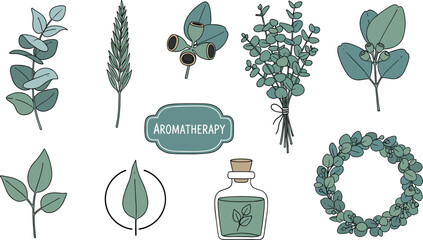 Aromatherapy and Green Leaf Vector Set Including Eucalyptus, Herb Branches, Bottled Essential Oils, Leaf Icons, Wreath, and Herbal Labels for Wellness and Natural Design © Firoz