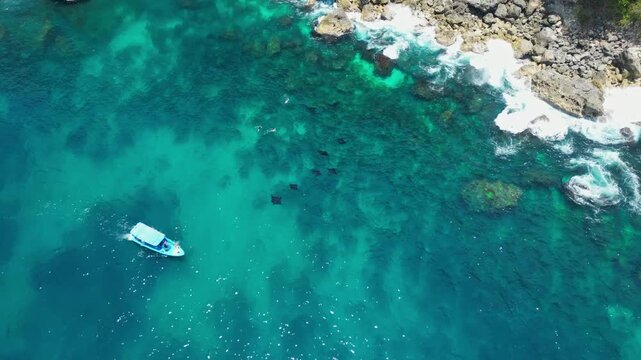 Cinematic aerial view of Manta Point in Nusa Penida &ndash; Breathtaking drone shot of multiple giant manta rays swimming in crystal clear turquoise ocean water near Bali, Indonesia coast 4k