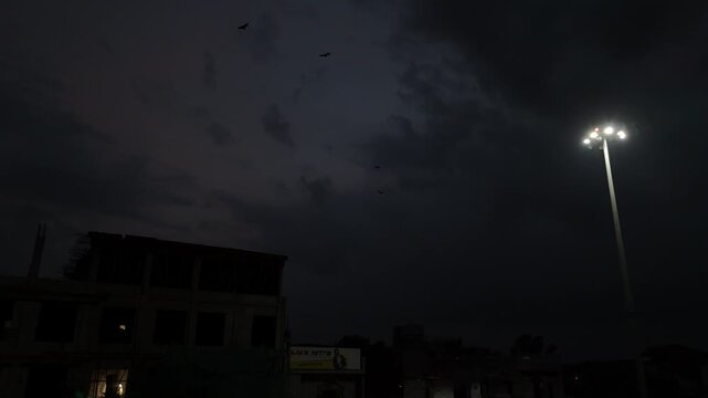 High-angle twilight drone clip showing a flock of bats flying across the dark sky above Barsana town.