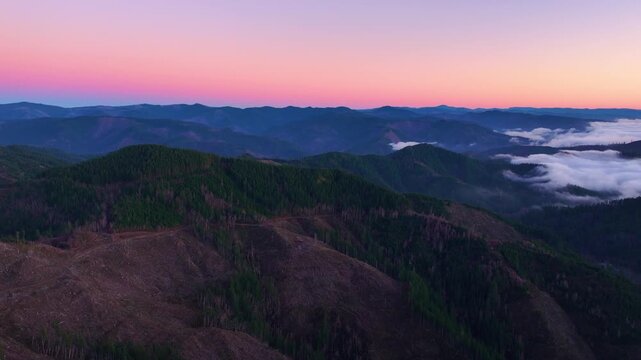 Aerial Drone Shot of Clear Cut Hills in Tillamook State Forest Oregon